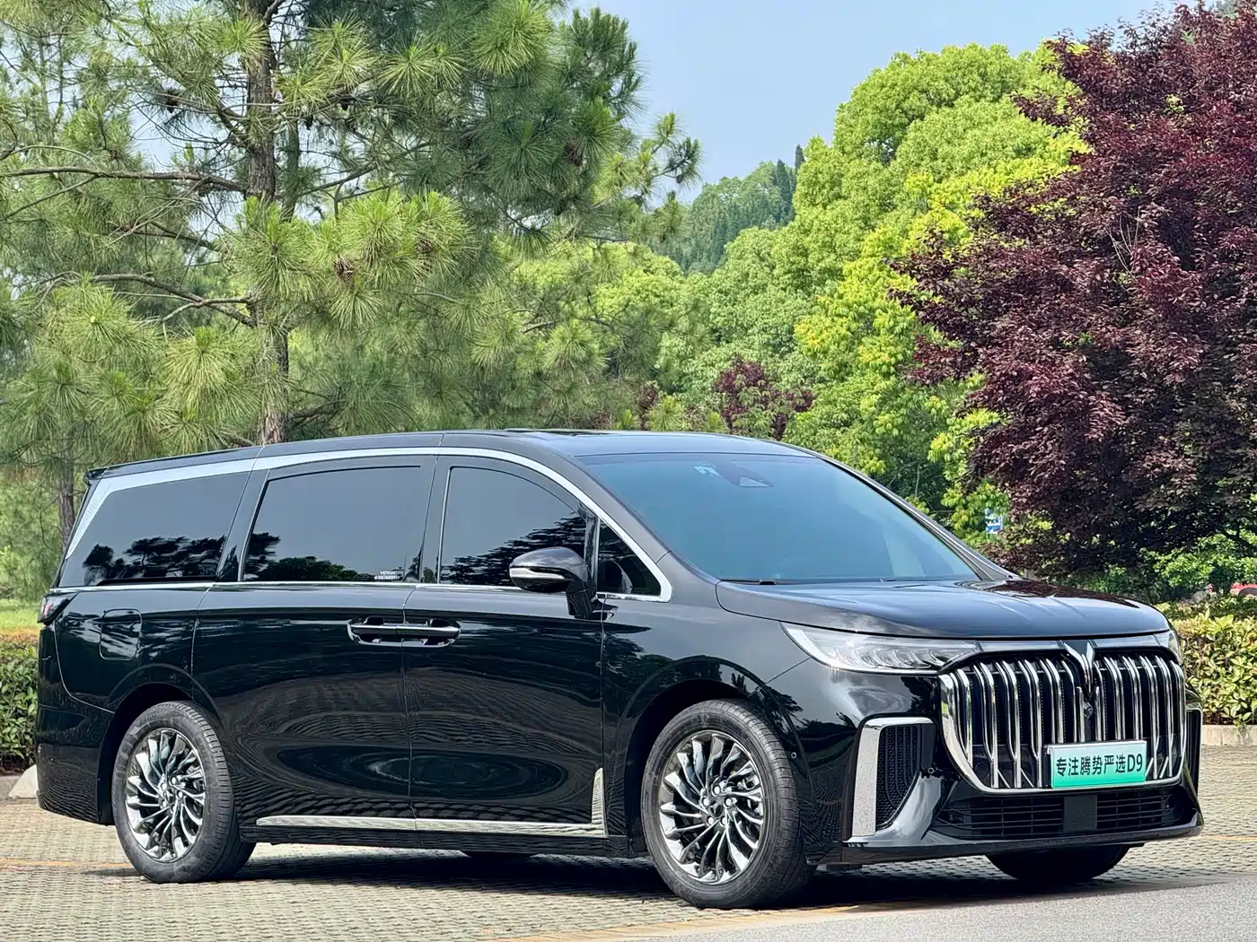 Voyah Auto Voyah Dreamer 2024 PHEV Extended Range Premium Edition фото 3