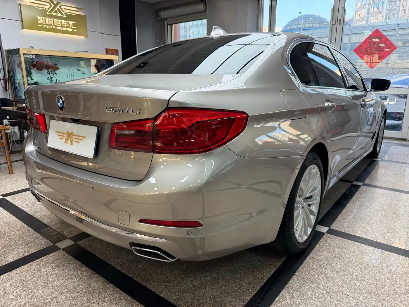 BMW 5 Series 2020 530Li xDrive Luxury Package фото 6