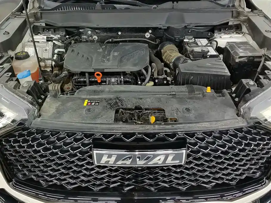 Haval H6 2021 3rd Generation 2.0T Auto 2WD Max фото 10