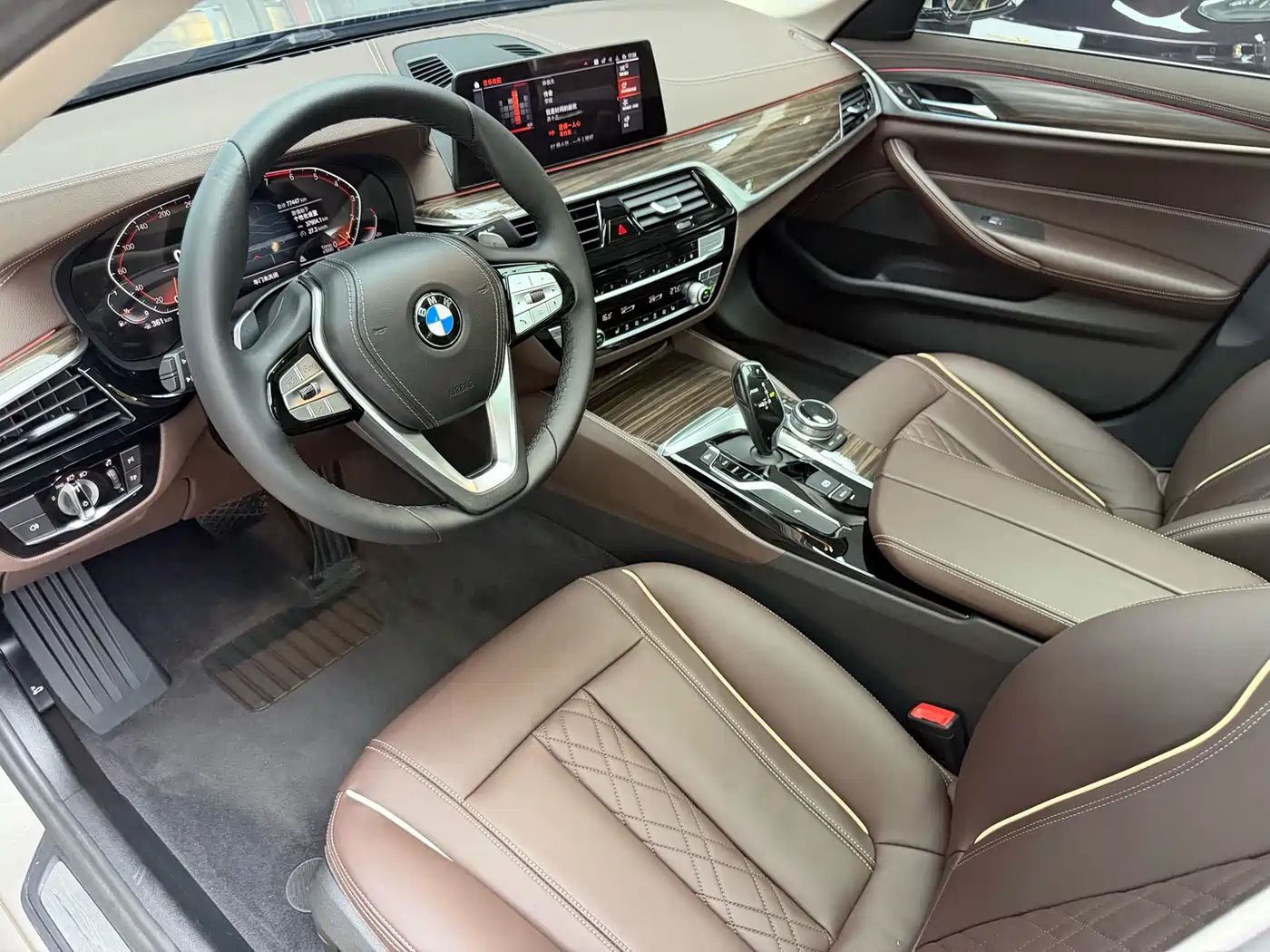 BMW 5 Series 2020 530Li xDrive Luxury Package фото 20