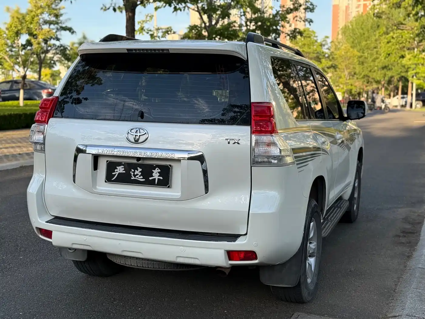 Toyota Prado (Import) 2010 2.7L Automatic Standard фото 6
