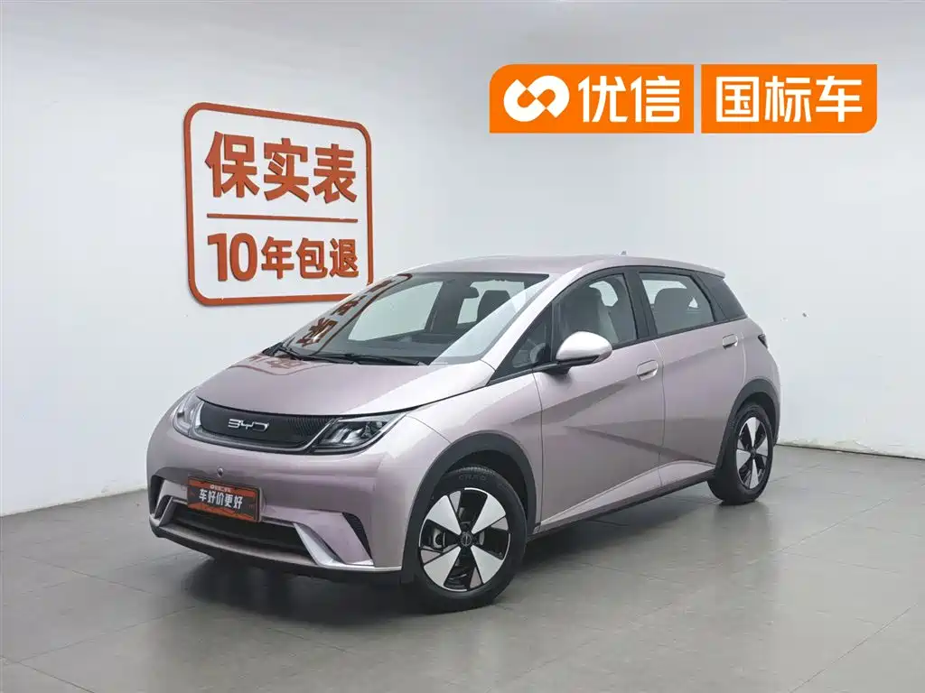 BYD Dolphin 2023 420km Freedom Edition