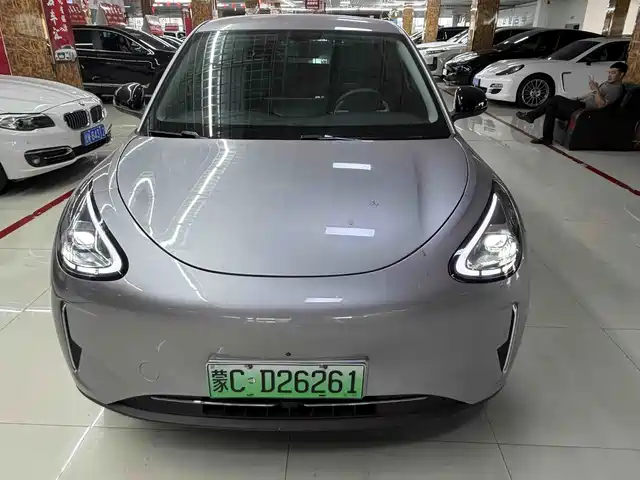 Geely Xingyuan 310km, Юность