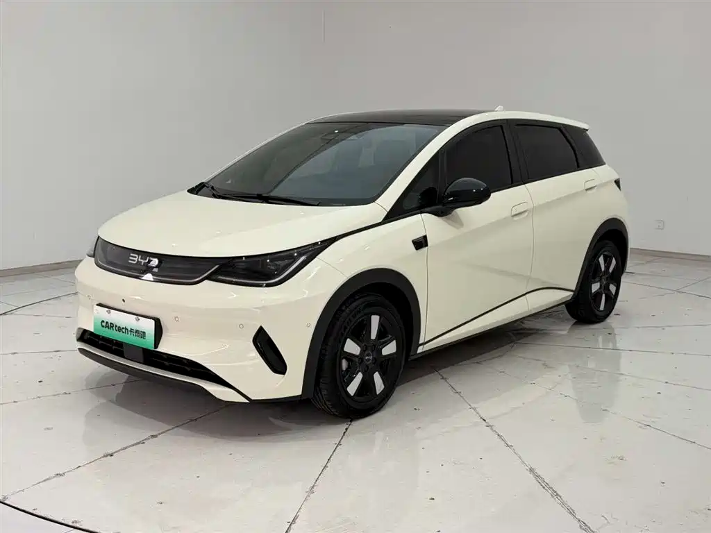 BYD Dolphin 2025 Smart Drive Edition 410km Fashion Version фото 5