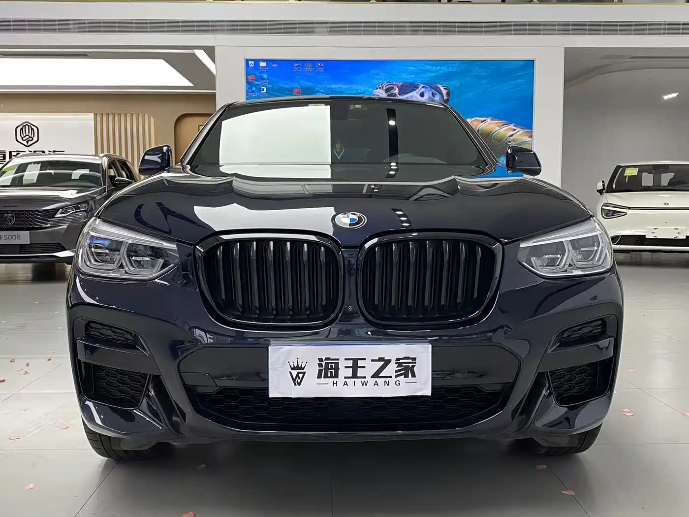 BMW X4 2021 xDrive 25i M Sport Glorious Night Package