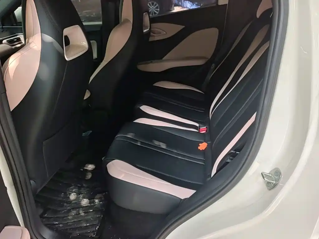 BYD Seagull 2026 2025 Smart Drive Edition 305km Freedom Version