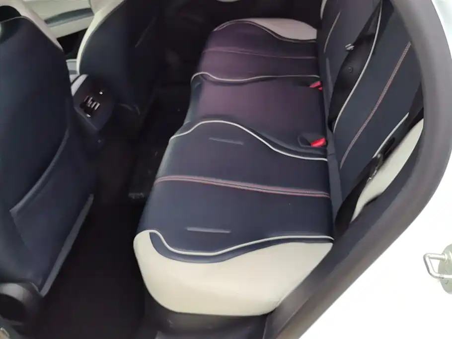 BYD Qin PLUS 2021 DM-i 55KM Flagship фото 11
