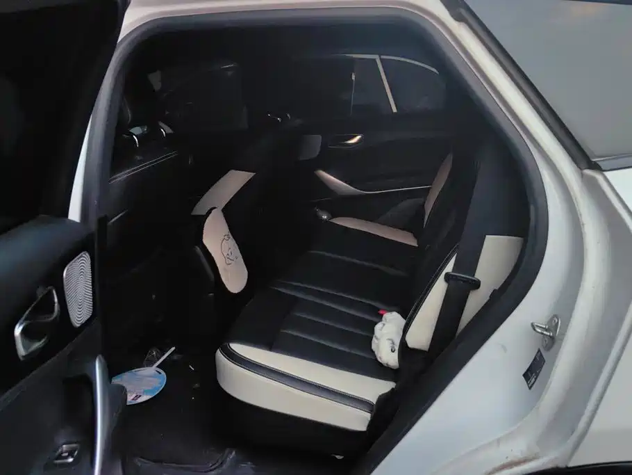Denza X 2020 2020 PHEV Sport Edition