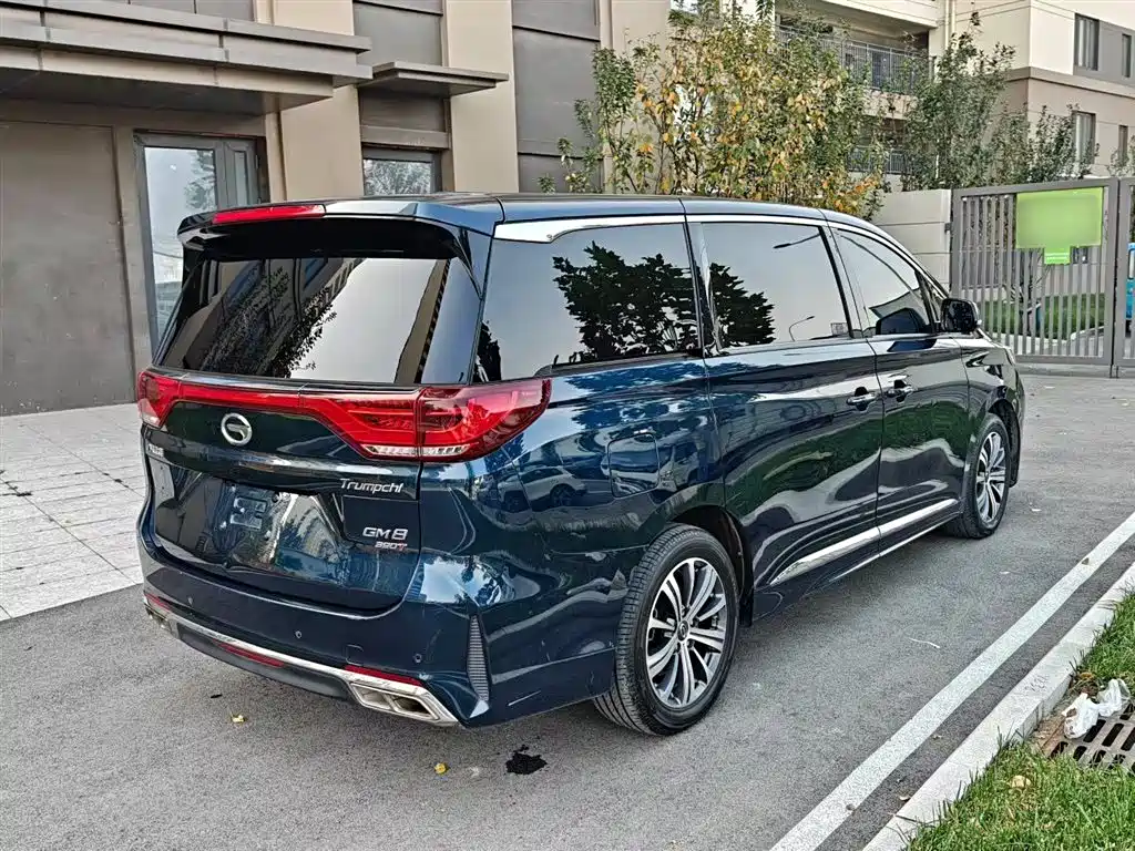 GAC Trumpchi Trumpchi M8 2020 Pilot 390T Prestige Edition фото 14