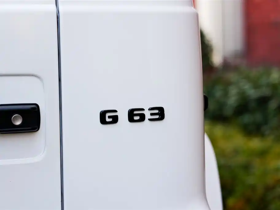 Mercedes-Benz G-Class 2019 G 500 фото 25