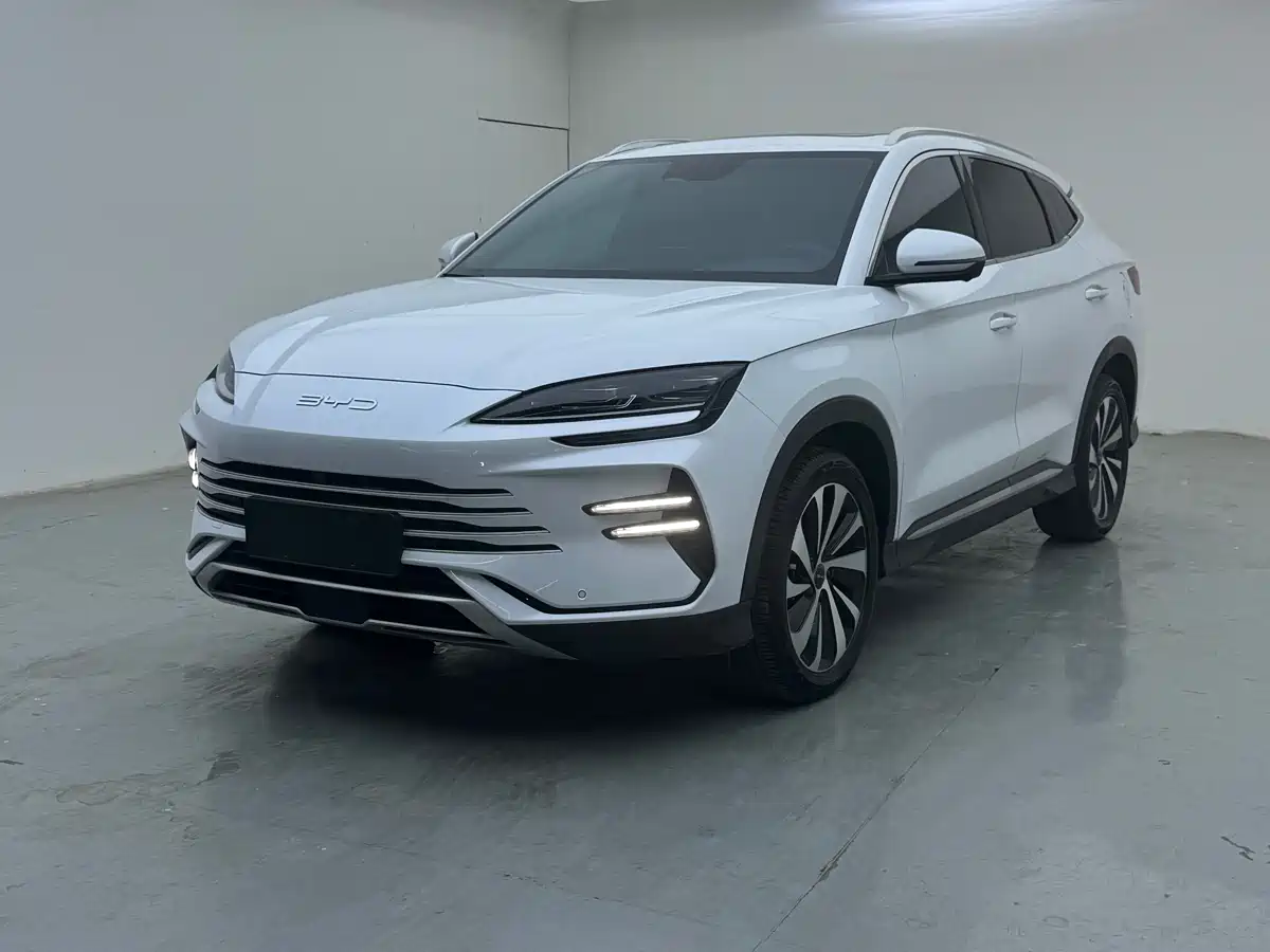 BYD Song PLUS PHEV 2024 Glory Edition DM-i 110km Flagship фото 3