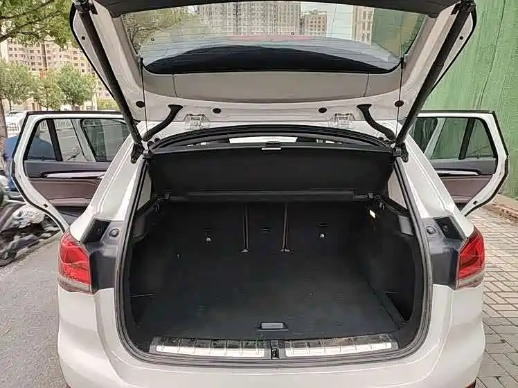 BMW X1 New Energy 2020 2020 xDrive30Le Premium Edition