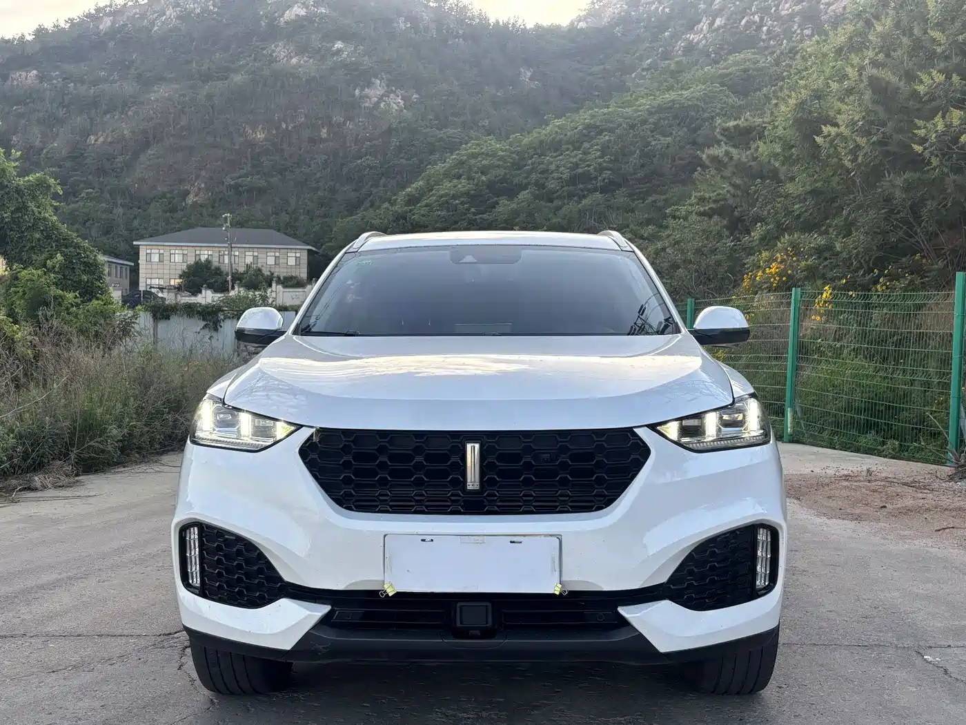 Фото 2 - WEY VV6