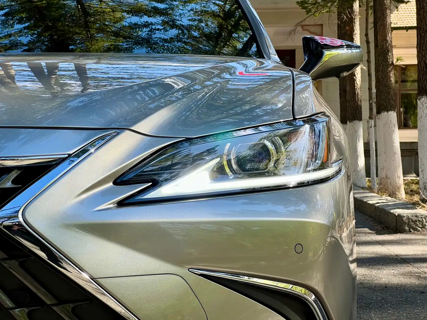Lexus ES 2024 200 Premium Edition фото 4