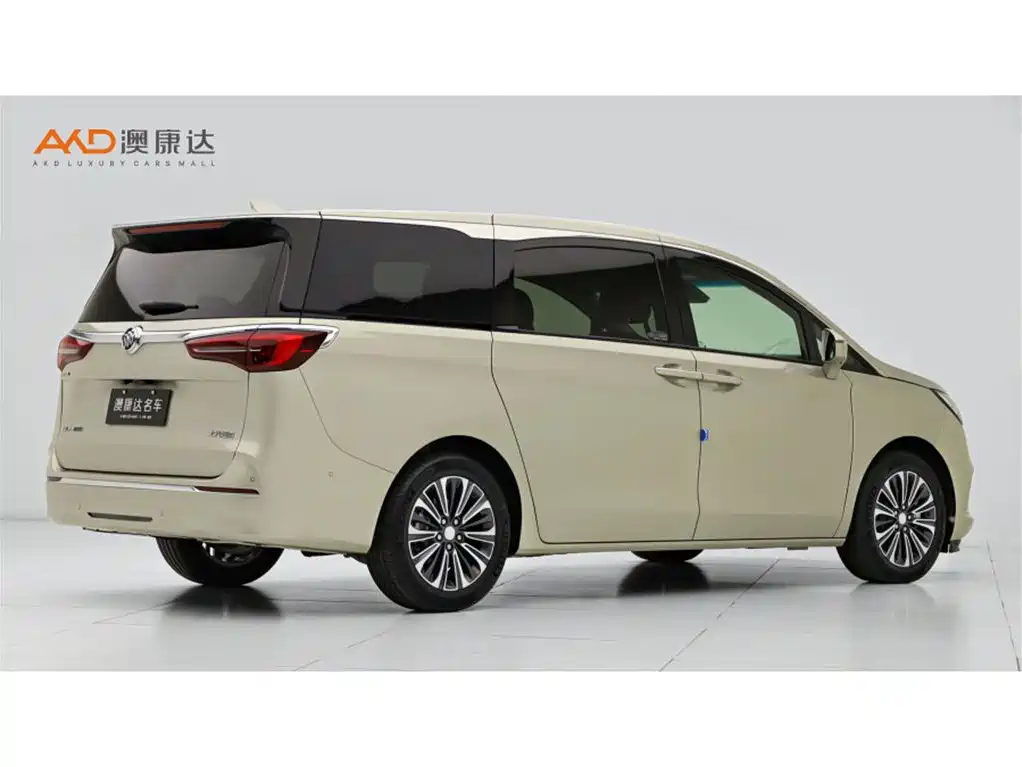Buick GL8 2020 Model ES Landglory 653T Luxury фото 3