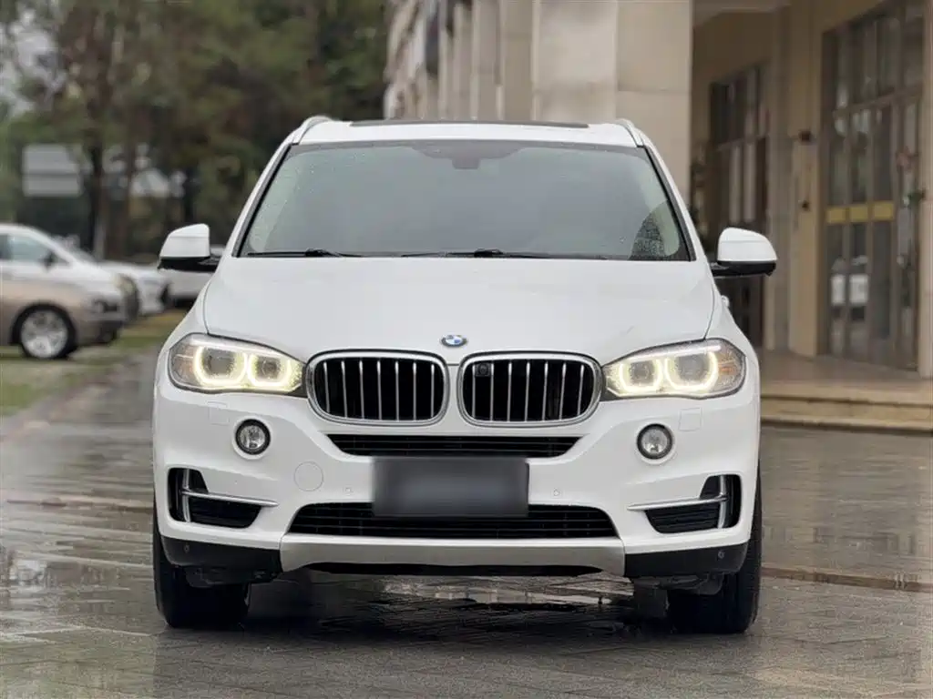 BMW X5 (Import) 2018 xDrive28i фото 25