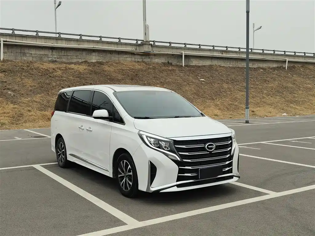 GAC Trumpchi Trumpchi M8 2023 Leading Series 390T Luxury Edition фото 4