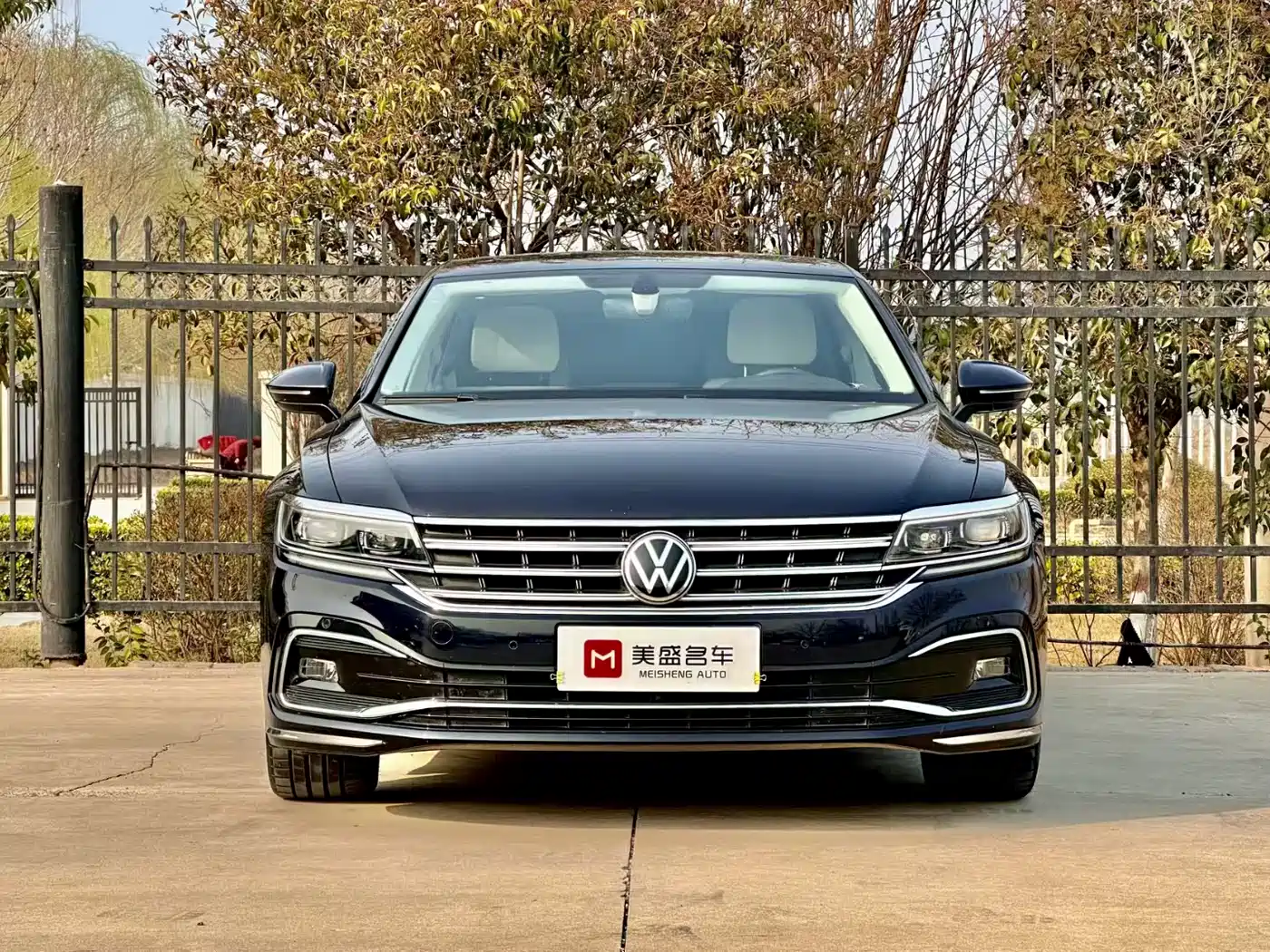 Volkswagen Phideon 2021 380TSI Premium Edition фото 2
