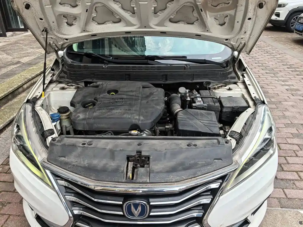 Changan Eado DT 2019 2019 1.6L Manual Premium Edition China VI