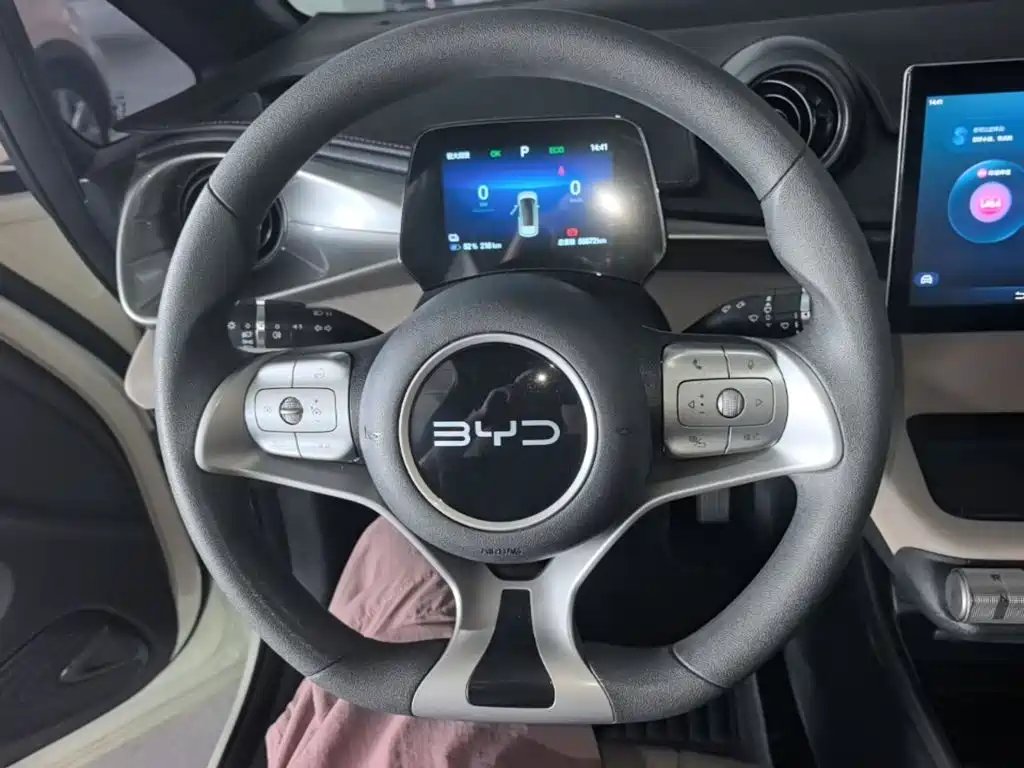 Photo 11 - BYD Dolphin