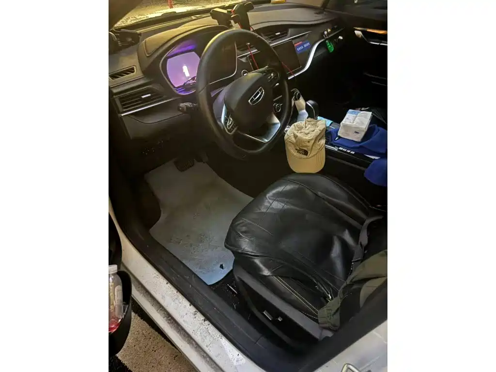 Фото 3 - Geely Binrui