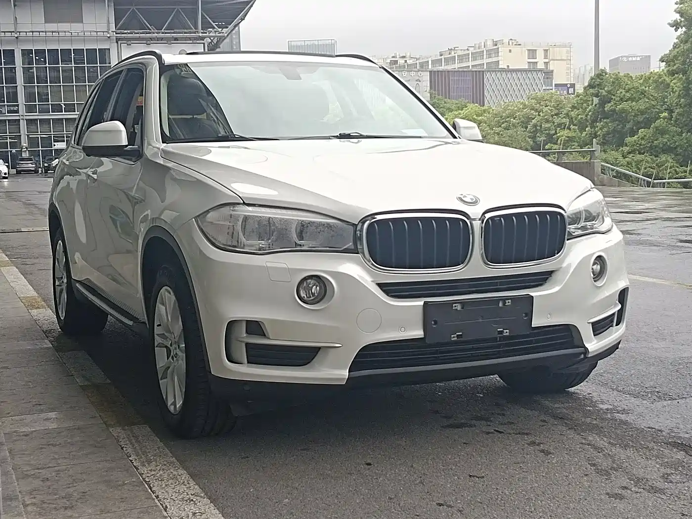 BMW X5 (Import) 2014 xDrive35i Leading фото 3