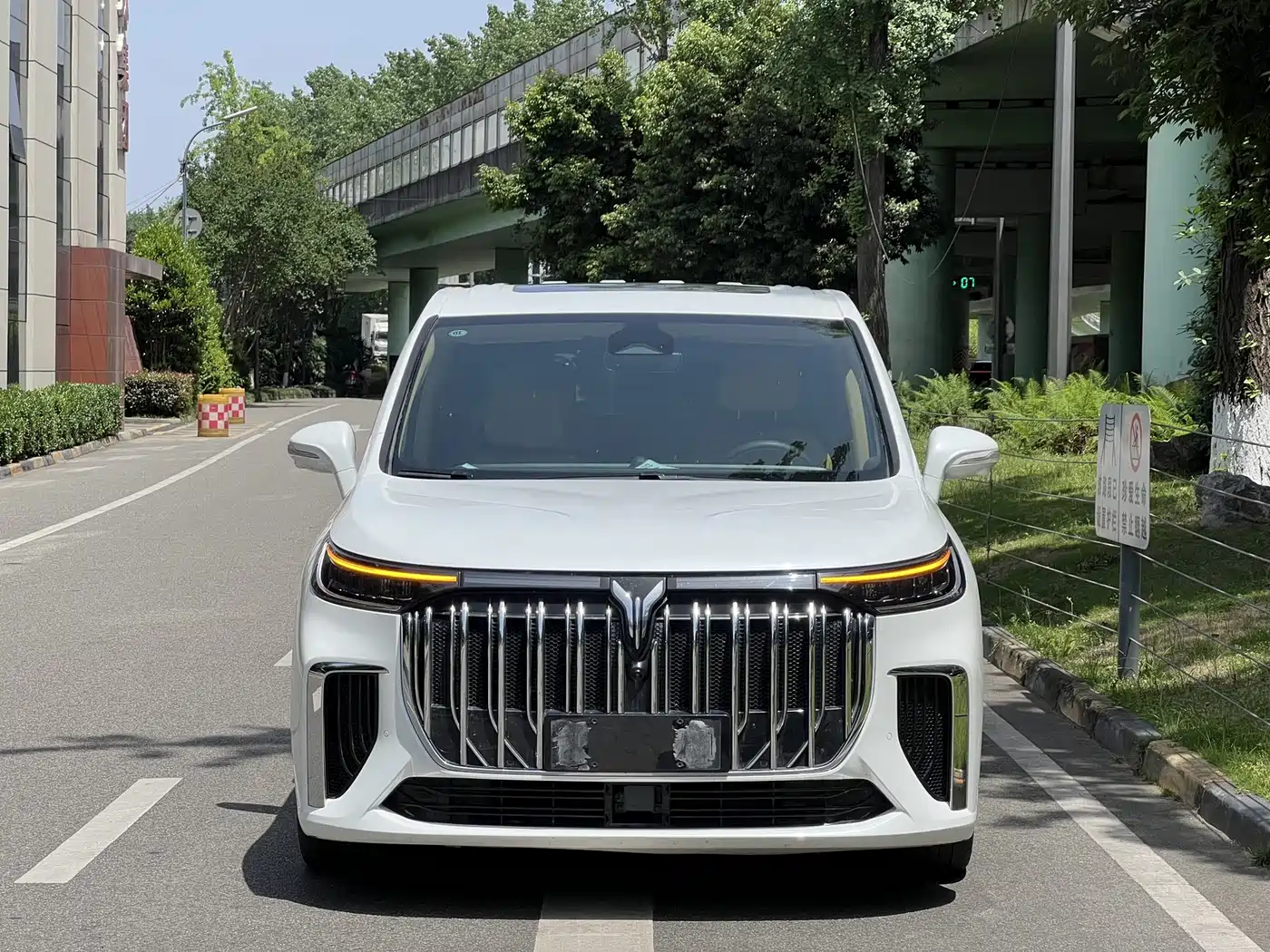 Voyah Auto Voyah Dreamer 2022 Low-carbon Edition Think+Smart Driving Package фото 2
