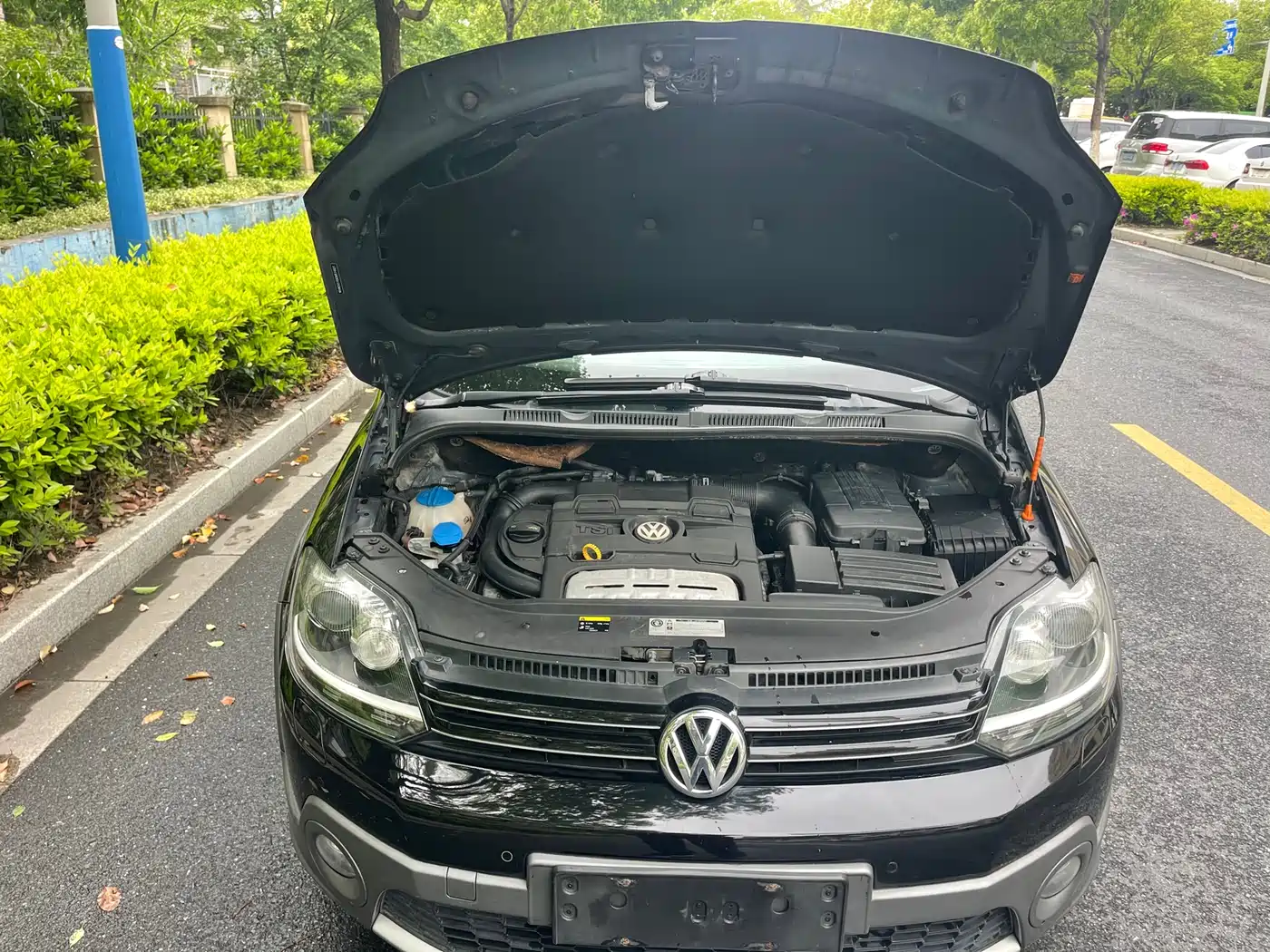 Volkswagen Golf (Import) 2011 1.4TSI Cross Golf фото 13