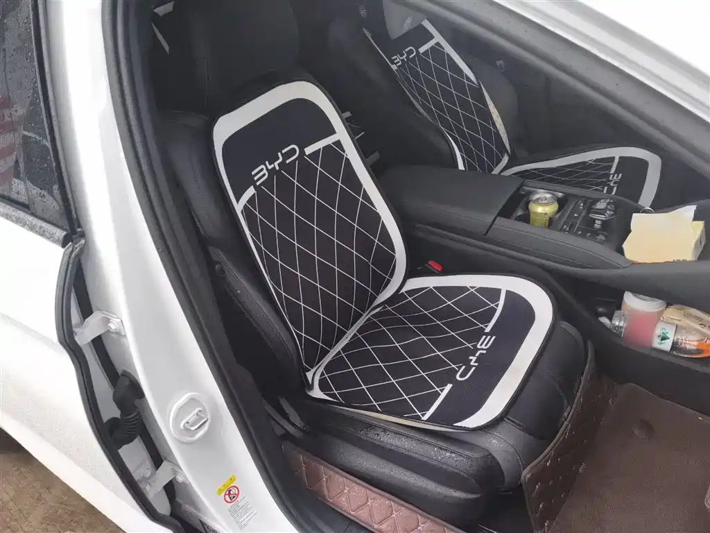 BYD Qin L 2024 DM-i 80KM Superior фото 4