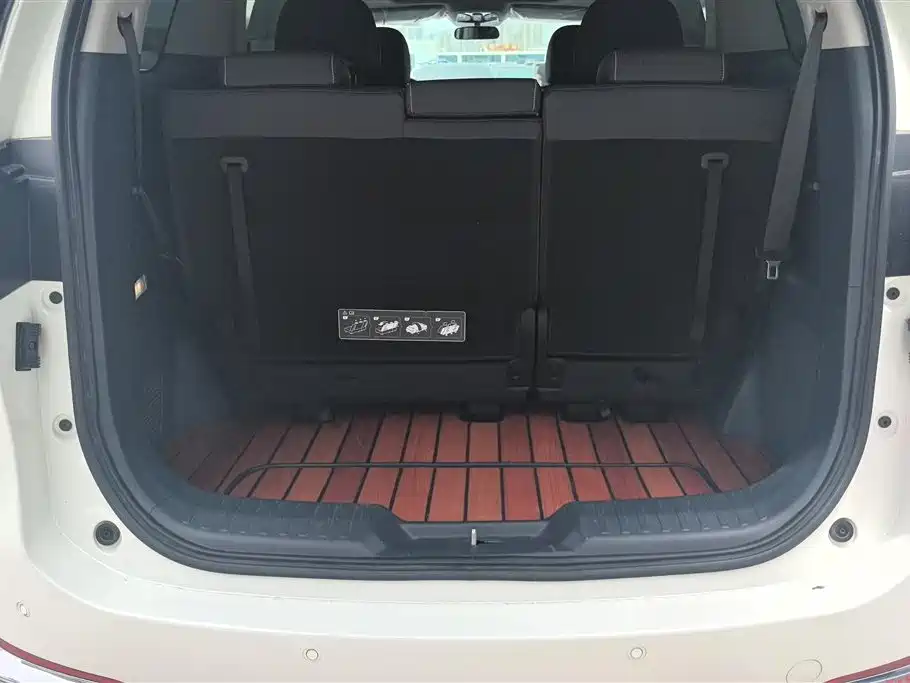 GAC Trumpchi Trumpchi M8 2021 Leading Show Series 390T Premium Edition фото 4