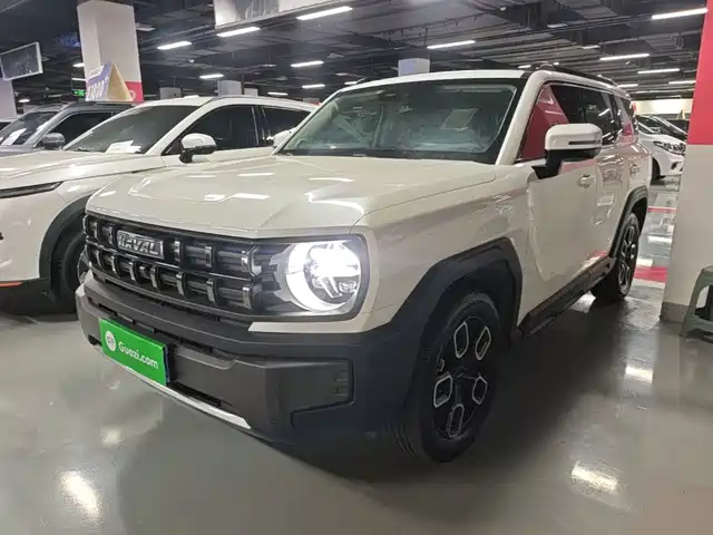  Haval Haval Cool Dog 2022 1.5T DCT 2WD Trend Edition