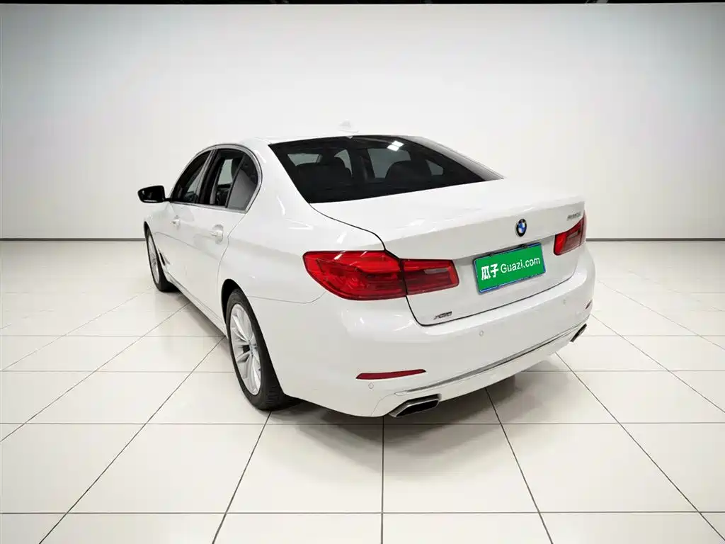 BMW 5 Series 2018 530Li xDrive Luxury Package фото 9