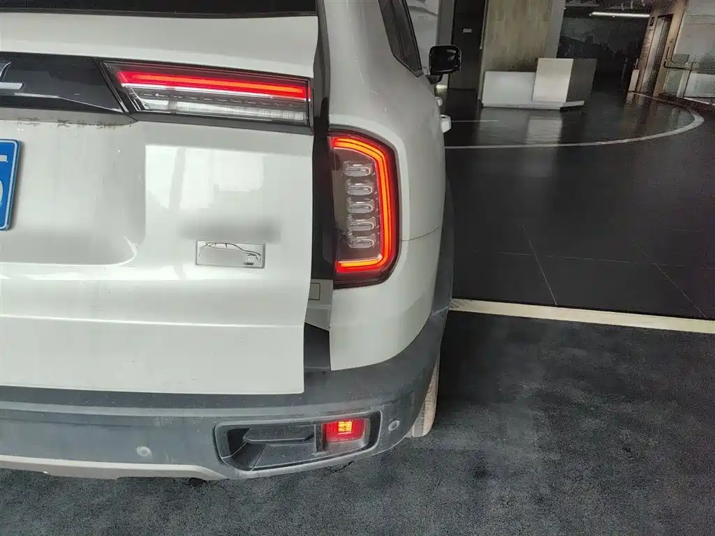 Haval Big Dog 2021 1.5T DCT 2WD Labrador Edition фото 8