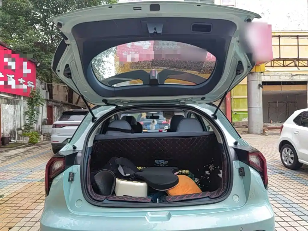 Geely Geometry E Firefly 2022 2023 401KM Linglong Tiger 5-Seater