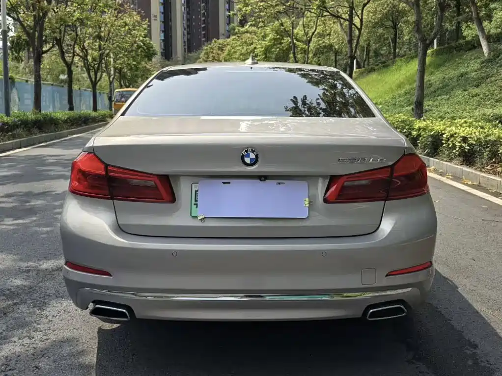 BMW 5 Series New Energy 2019 530Le Luxury Package фото 8