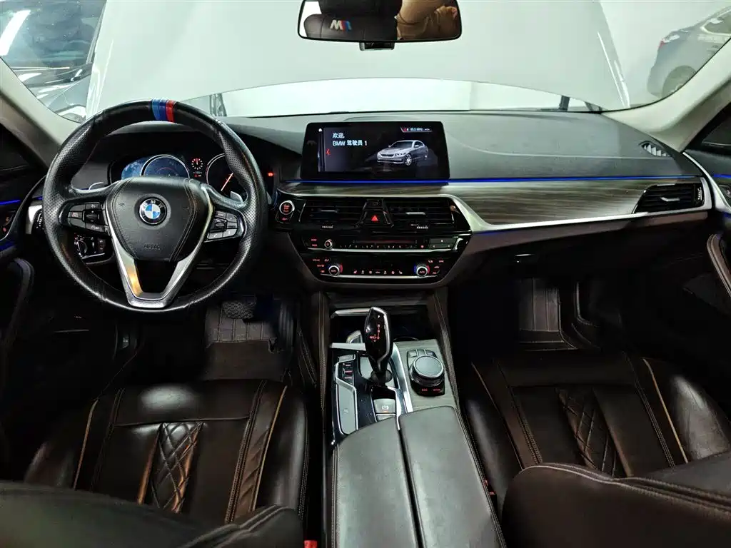 BMW 5 Series 2018 530Li xDrive Luxury Package фото 16