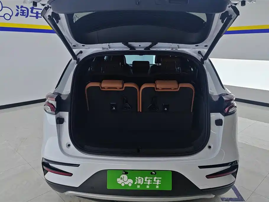 BYD TANGXIN ENERGY