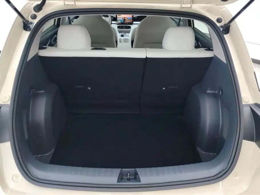 Geely Galaxy Starry Wish 2025 310km Youth Edition фото 4