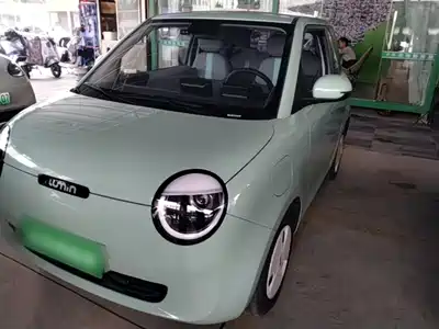 Changan Lumin