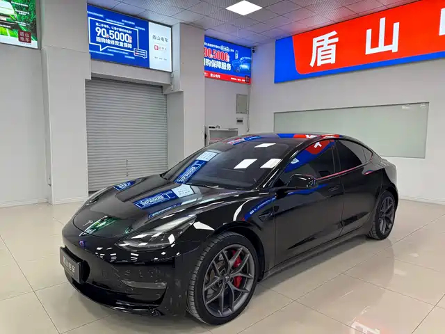 Tesla Model 3 Performance, высокопроизводительный полный привод