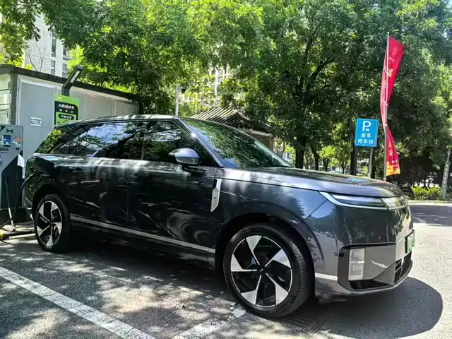  XPeng XPeng G01