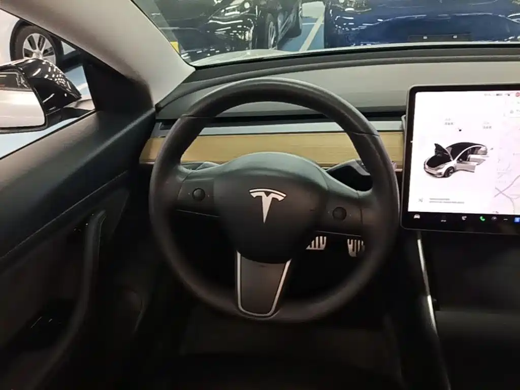 Tesla Model 3 2020 2020 Standard Range Rear-Wheel Drive Upgrade