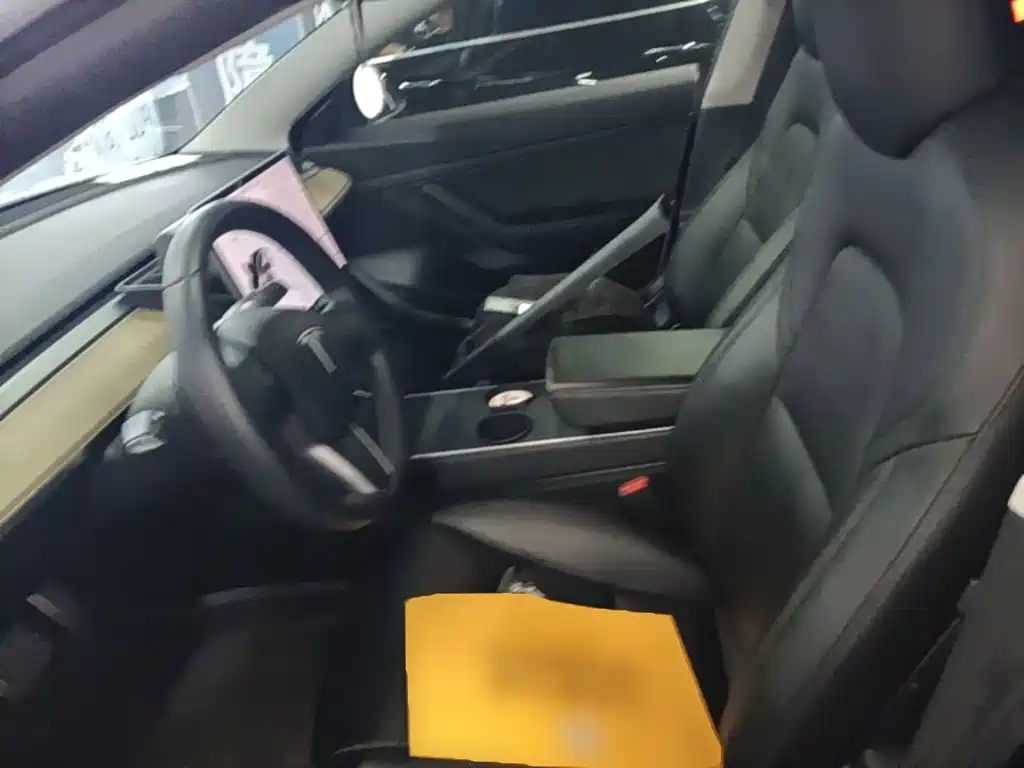 Tesla Model 3 2020 2020 Standard Range Rear-Wheel Drive Upgrade