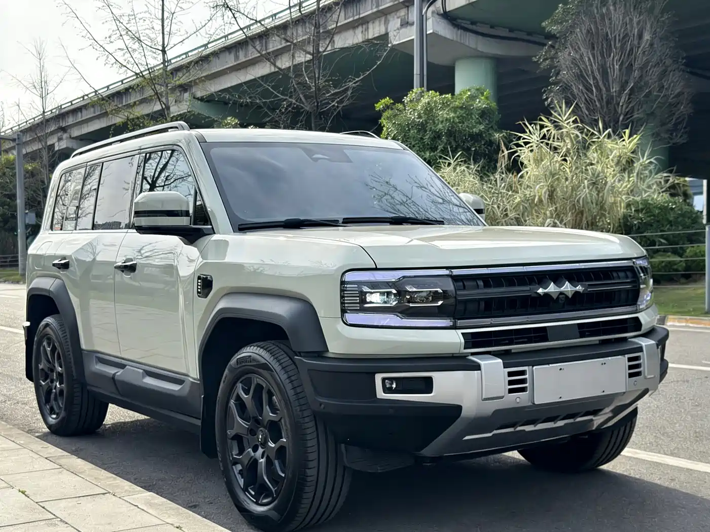 FANG CHENG BAO LEOPARD 5