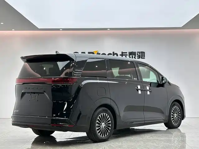 Denza D9 2024 DM-i 980 AWD Prestige — фото 5