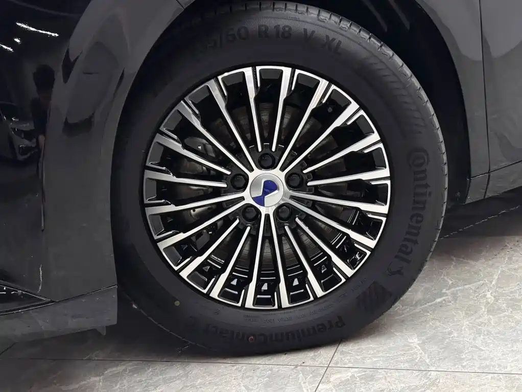 Denza D9 2025 2024 DM-i 980 AWD Prestige