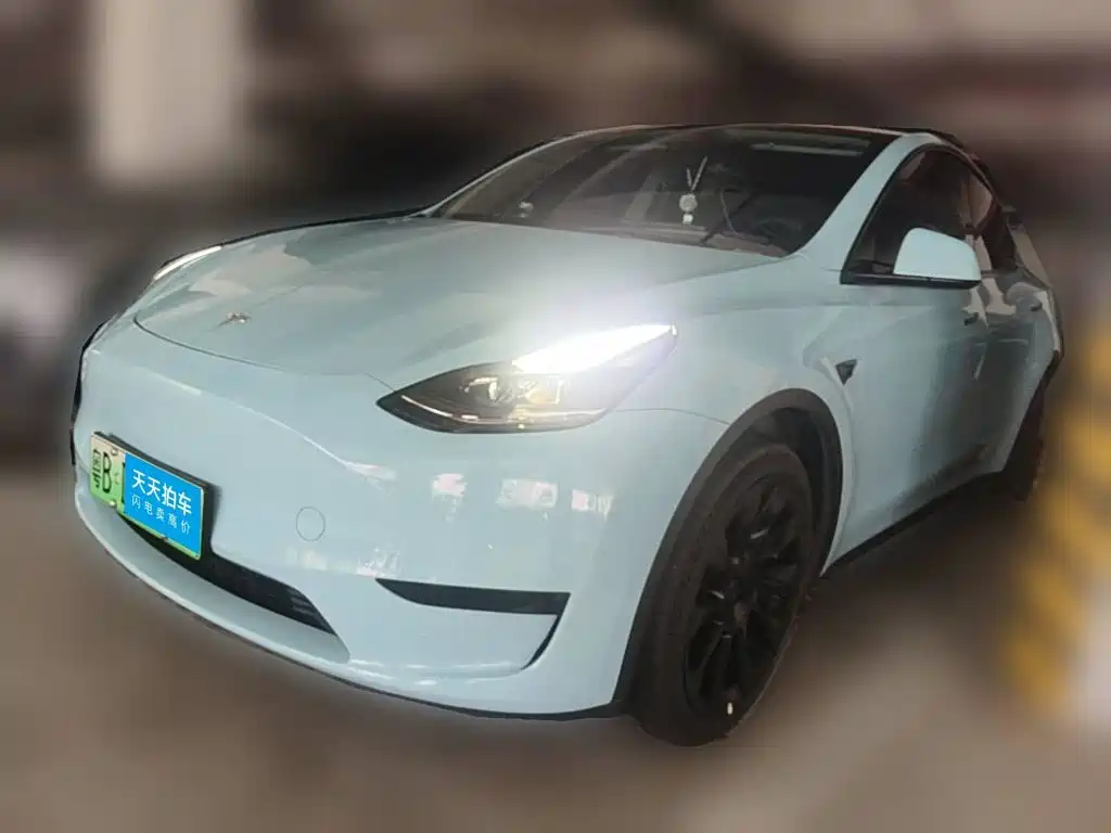 Tesla Model Y 2022 Rear-Wheel Drive Version