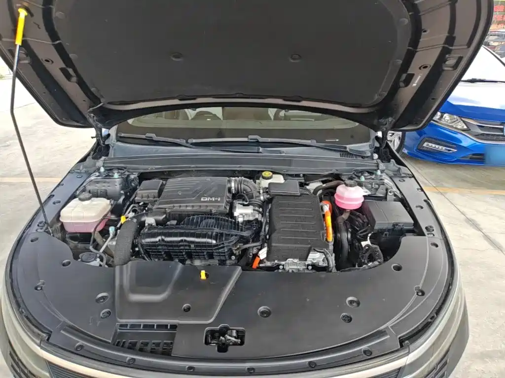 BYD Destroyer 05 2024 2024 Glory Edition DM-i 55KM Luxury