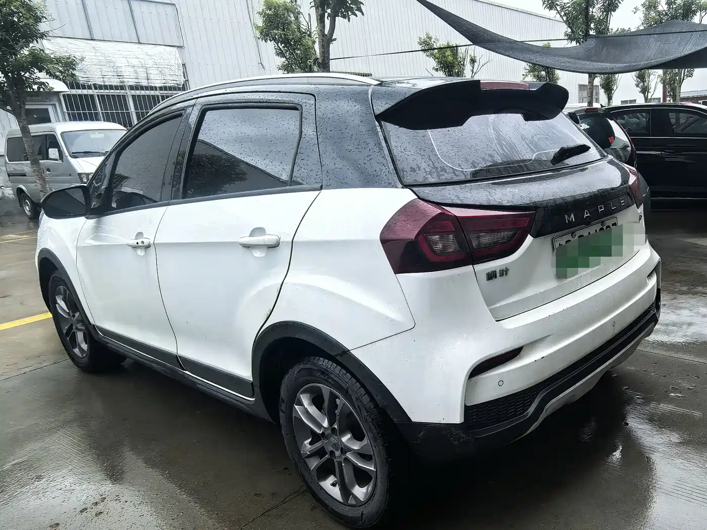 Ruilan Auto Maple 30X 2020 2020 Storm Edition