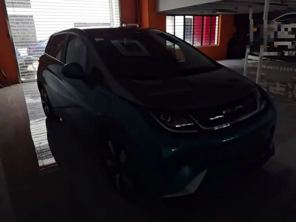 BYD Dolphin 2021 2021 401km Knight Edition